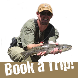 Book a Trip with Lake Fork Angling