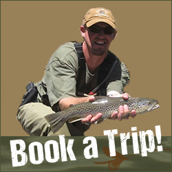 Dan's Fly Shop and Lake Fork Angling Service