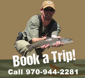 Book a Trip with Lake City Anglers Today!