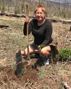 Restoring the vegetation on Slumgullion Pass, Abby Brown helped plant new seedlings to replace the beetle killed trees.
