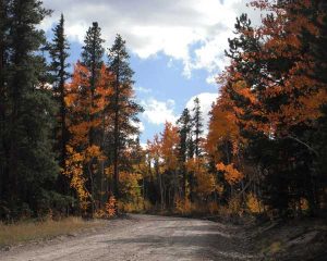 The mountain side roads are always lovely, but in the Autumn they tend more to the spectacular.