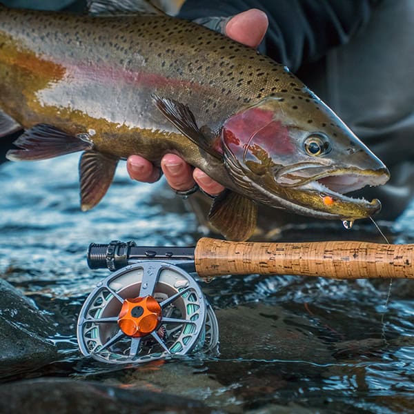 A large trout with rod and reel in a river.