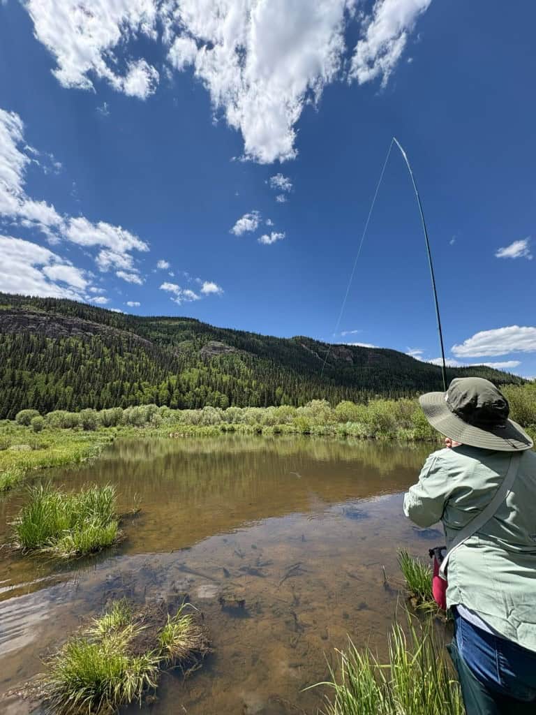 A fly fisherman in a wide-brimmed hat casts long in a pond surrounded by willows.