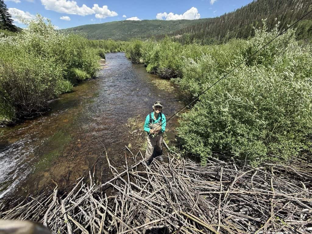 A woman in teal fishing shirt, vest, and waders smiles up at the camera while standing below a mass of willow branches in a creek surrounded by mountains.